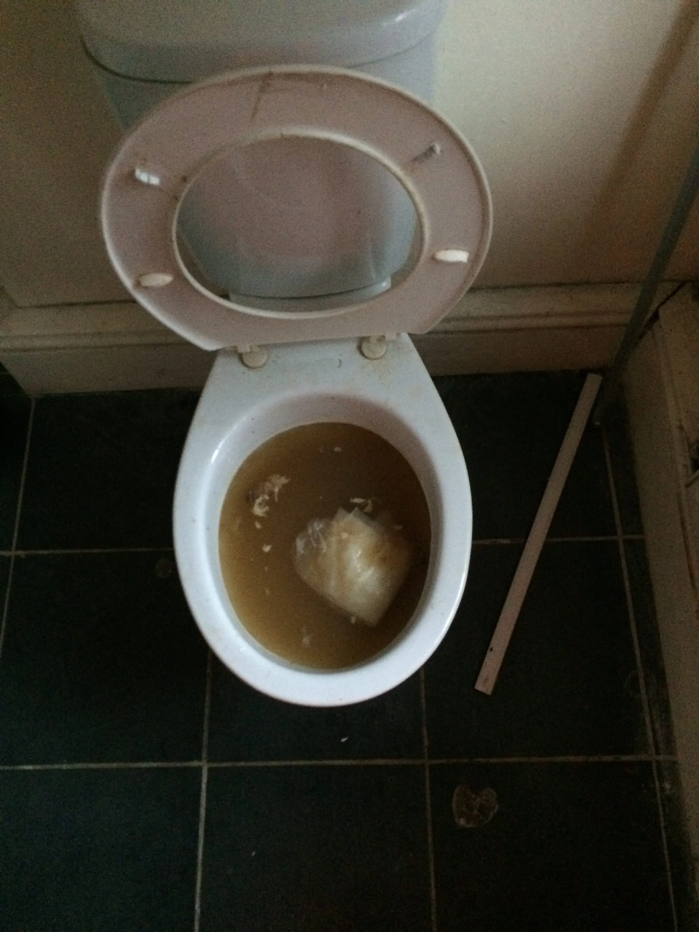 Professional Plumbing